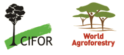 Logo of International Centre for Research on Agroforestry